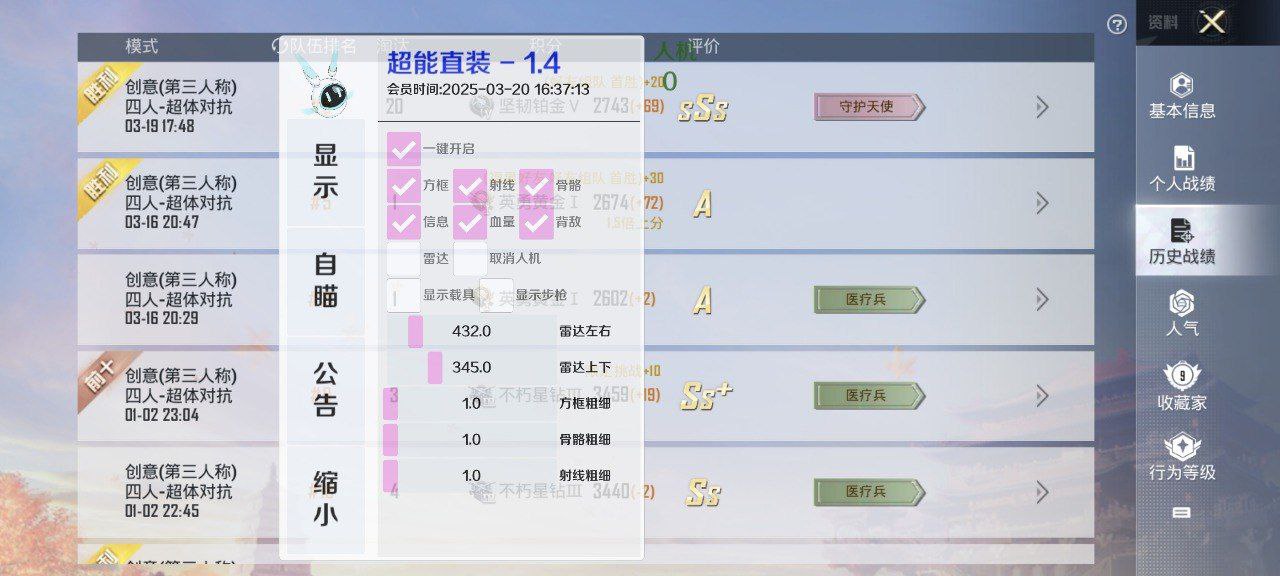 和平精英祈宇容器直装版免费绘制辅助 v1