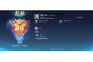 王者荣耀盒子2020安卓版 v1.0